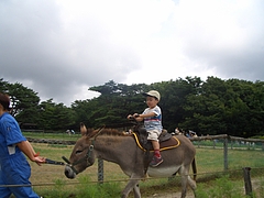 20100730_123018_000