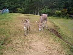 20100730_125733_000