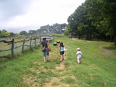 20100730_130033_000