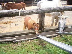 20100730_121006_000