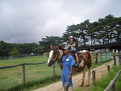 20100730_123243_000