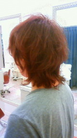 back-shot