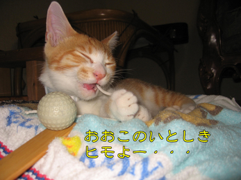 おおこのいとしきヒモよー