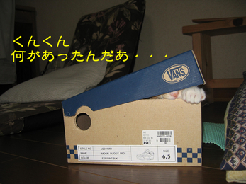 くんくん何があったんだあ