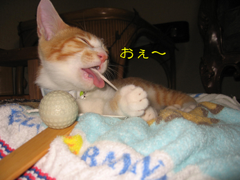 おぇ〜