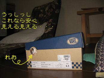 見える見えるこれなら安心