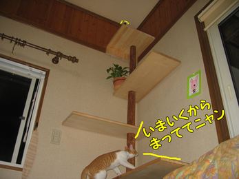 今いくからまっててニャン