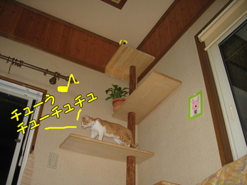 チューうチューチュチュ
