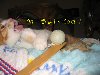 Oh うまいGod!