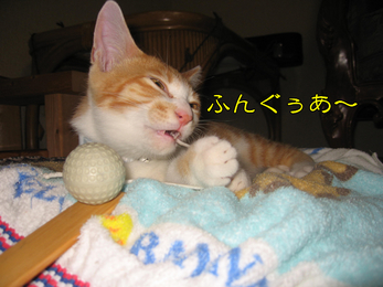 ふぐぁー