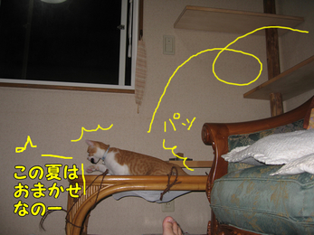 この夏はおまかせなのー