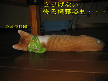 さりげない後姿も・・・