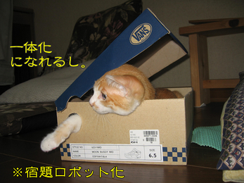 一体化になるし