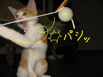パシッ