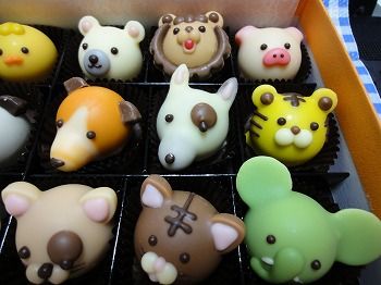 アニマルショコラ コレクション