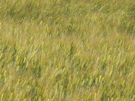 P1290863