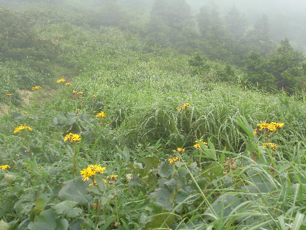 CIMG0607