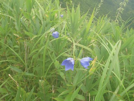 CIMG0595