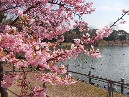 DSCN0800