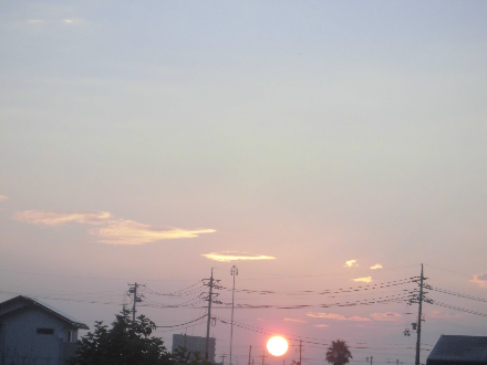 CIMG0487