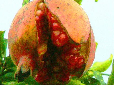 P1110172