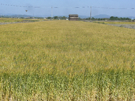 P1290862