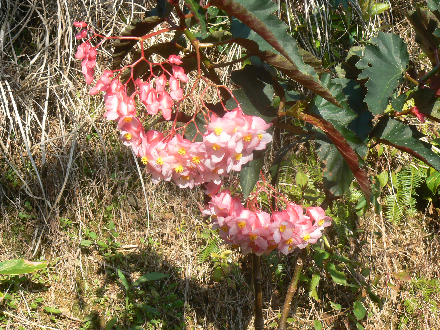 P1310602