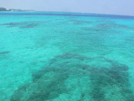 P1310668