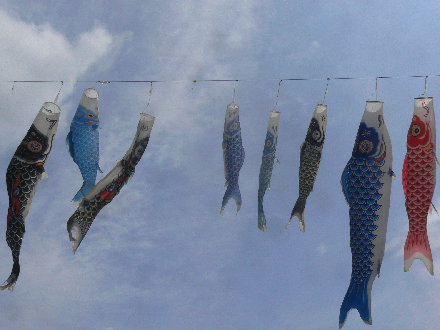 P1310710