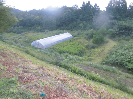 CIMG0684