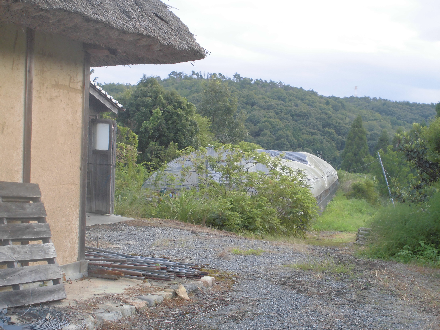 CIMG0682