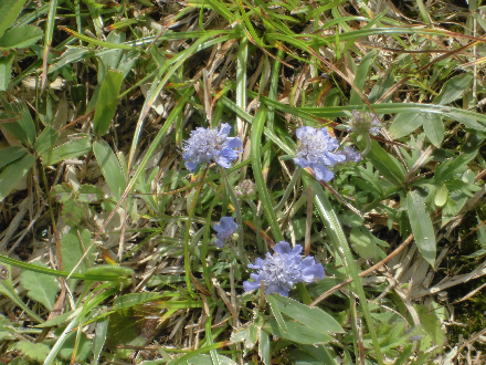 CIMG0774