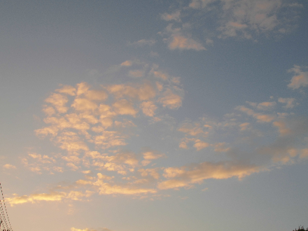 CIMG0488