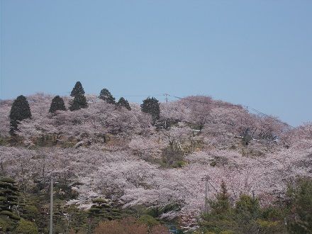 DSCN0927