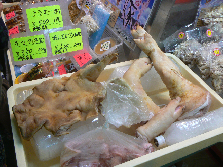 P1310499