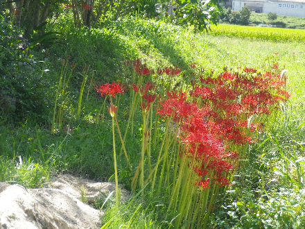 IMGP2659