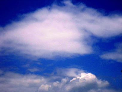 IMGP1996