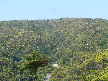 P1310637