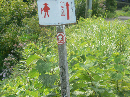 P1300035