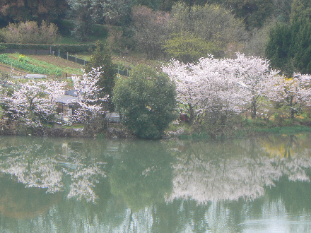 P1310680
