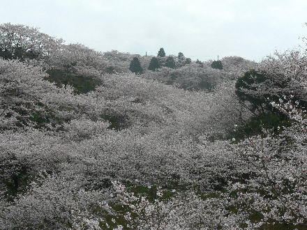 P1310685