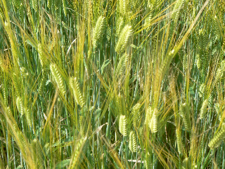P1290865