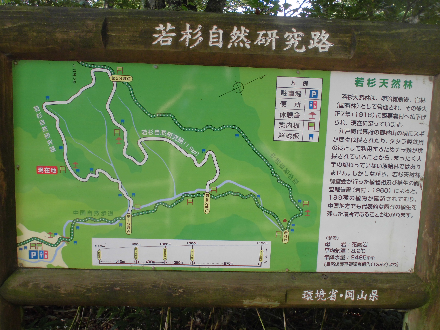 CIMG0718