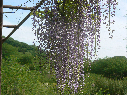 P1310706