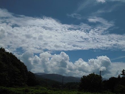 CIMG0351