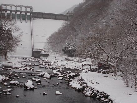 DSCN0554