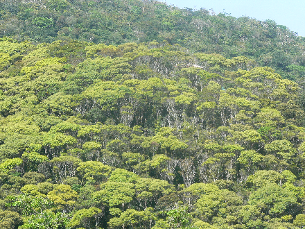 P1310640