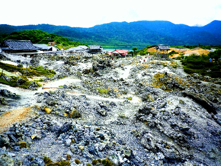 IMGP2426