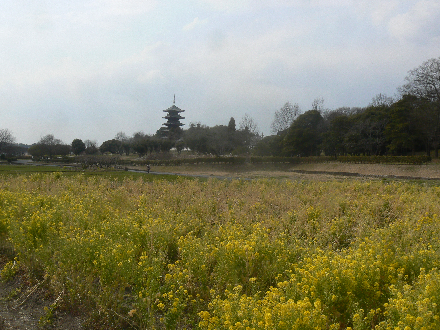 P1310482