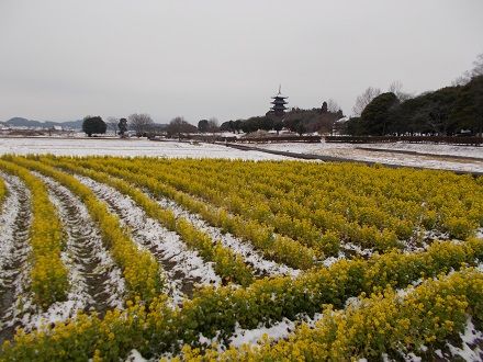 DSCN0576